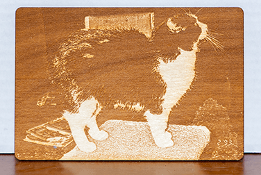 Wood photo engraving of Mickey the Manx cat